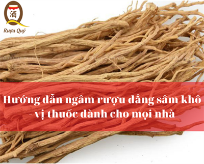 Hướng dẫn ngâm rượu đẳng sâm khô - vị thuốc dành cho mọi nhà