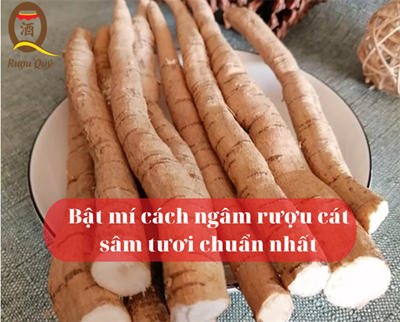 Bật mí cách ngâm rượu cát sâm tươi chuẩn nhất!